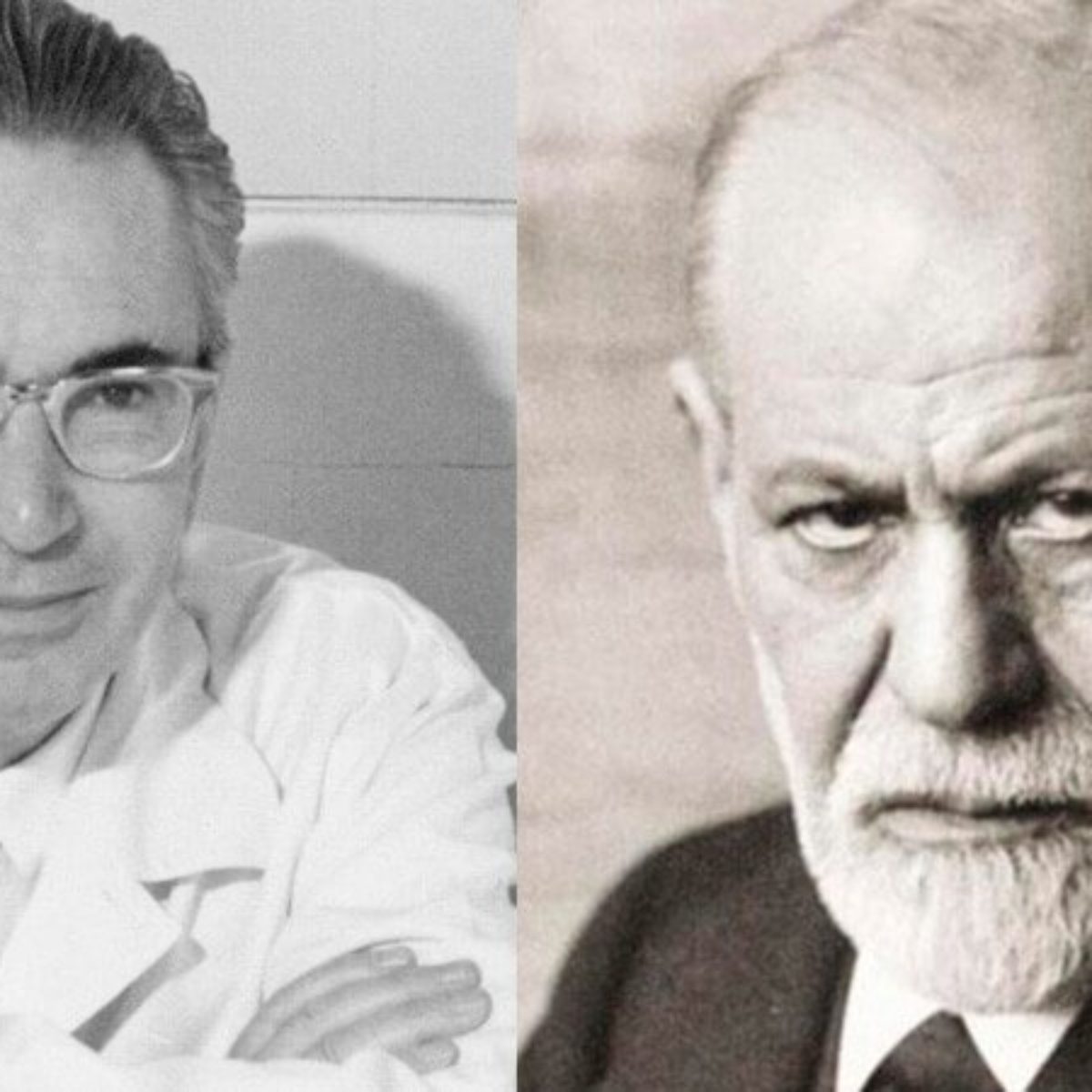 Las herencias de Sigmund Freud y Viktor Frankl - Yo Influyo